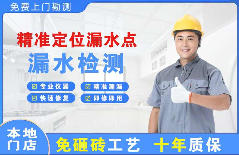 酉阳精准测漏点